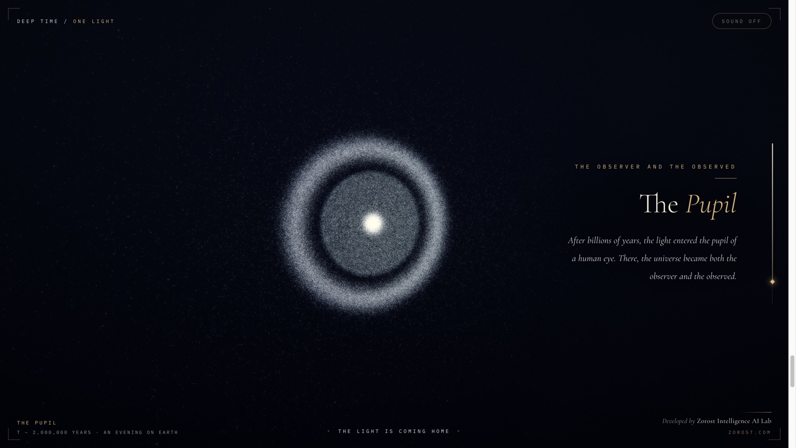 A ring of particles resolving into an eye, beside the heading The Pupil